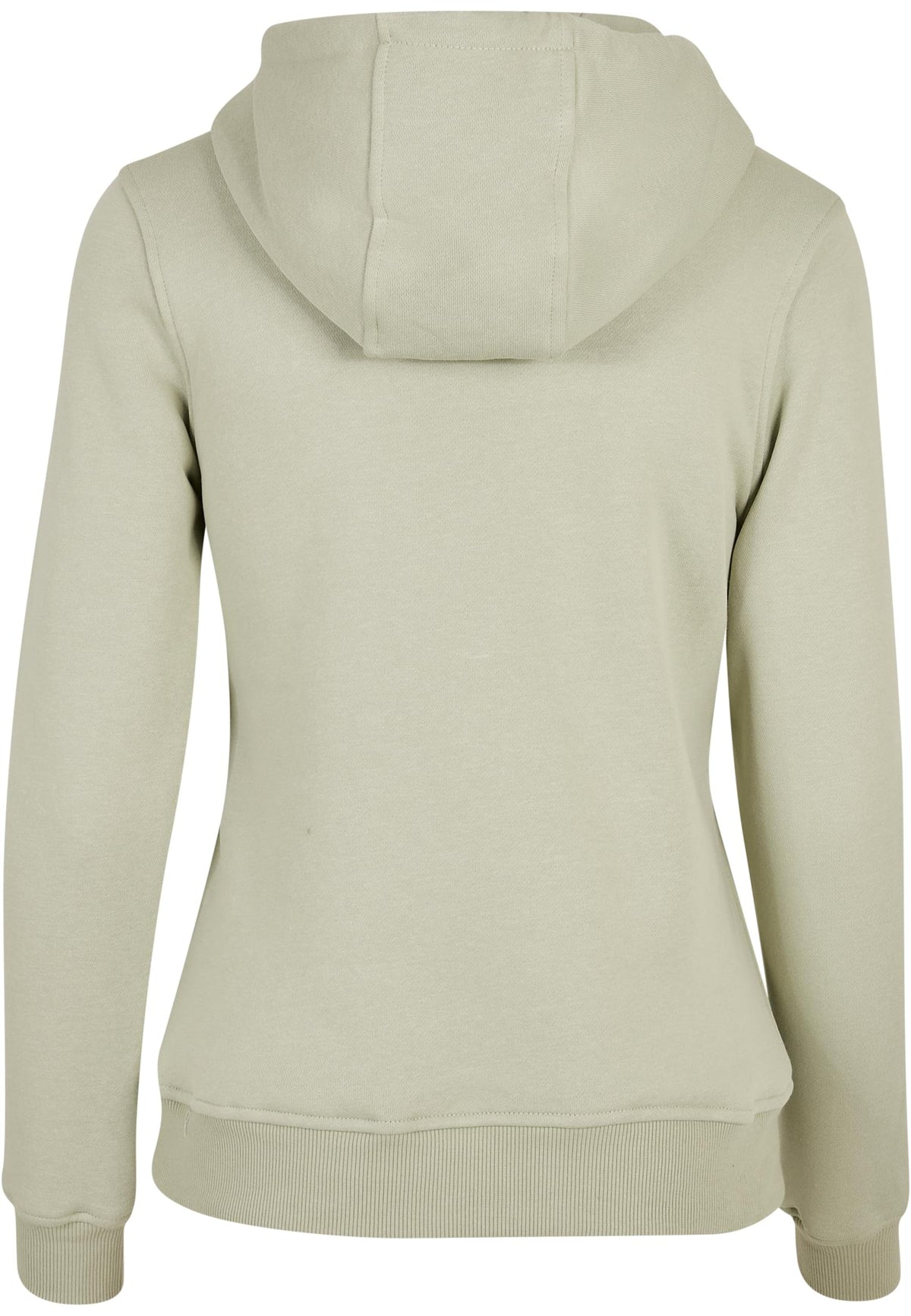 PAYFS Soft Salvia – Rückseite