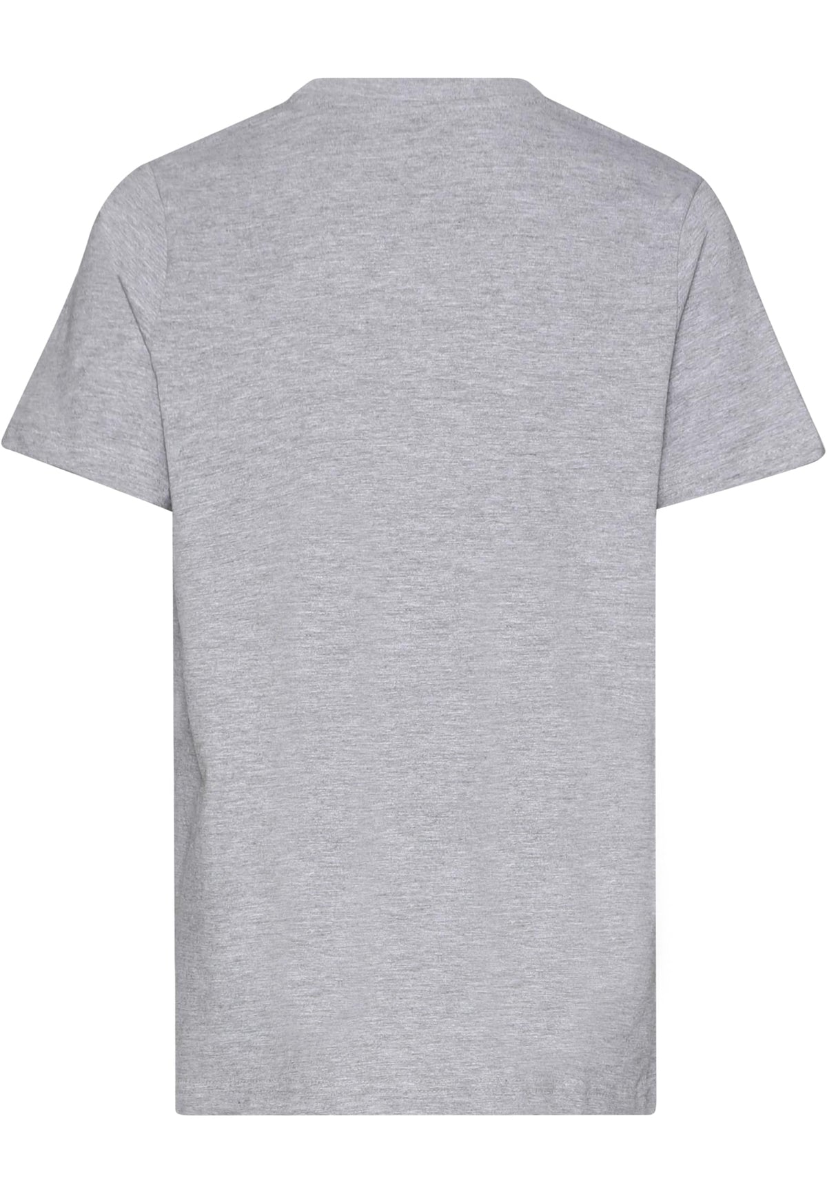 PAYFS Heather Grey – Rückseite