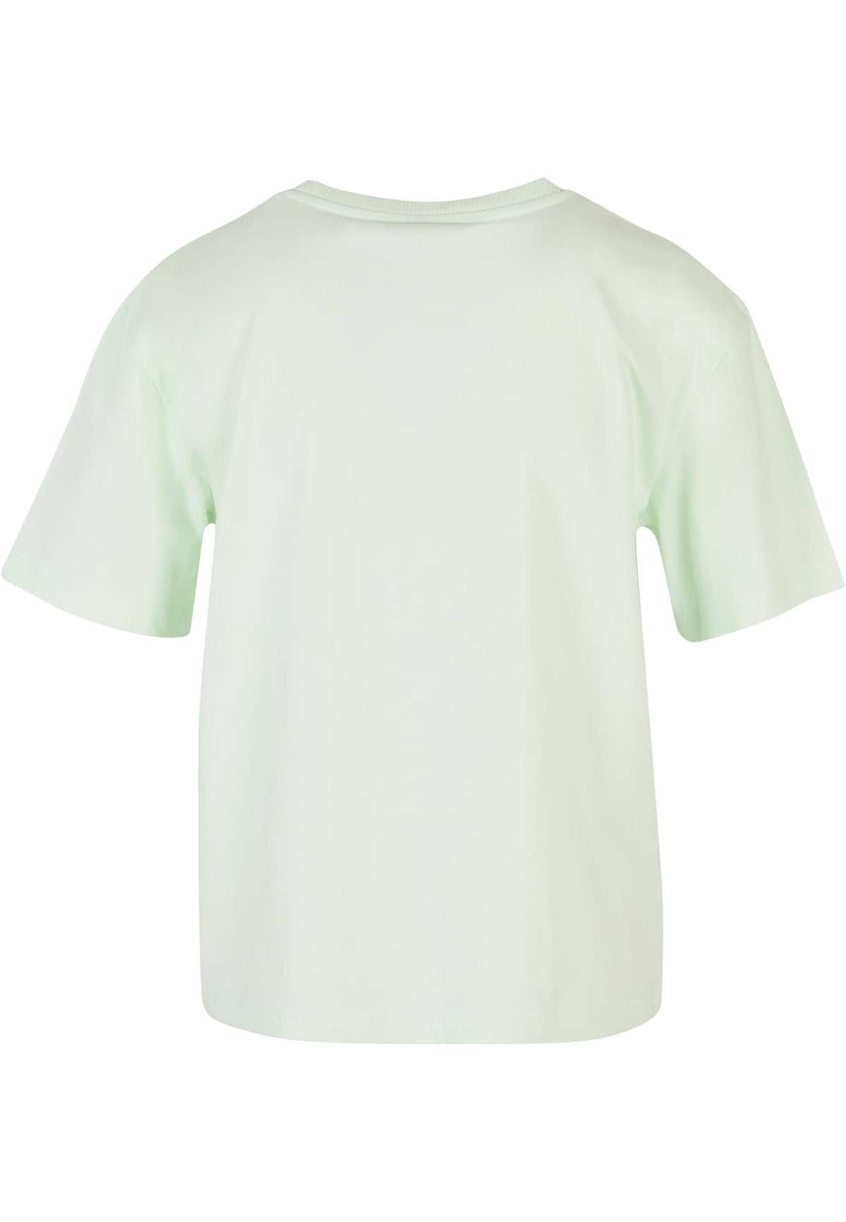 PAYFS Light Mint – Rückseite