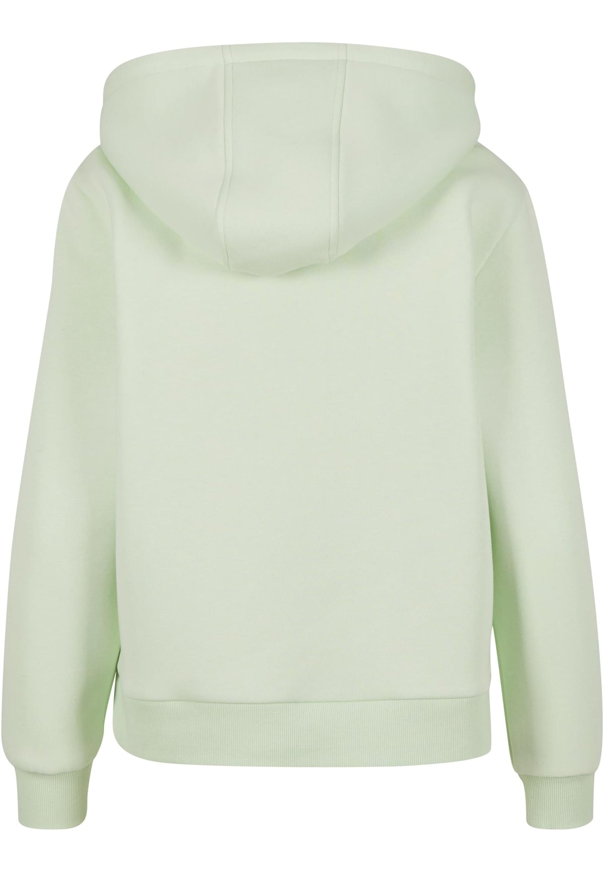 PAYFS Light Mint – Rückseite