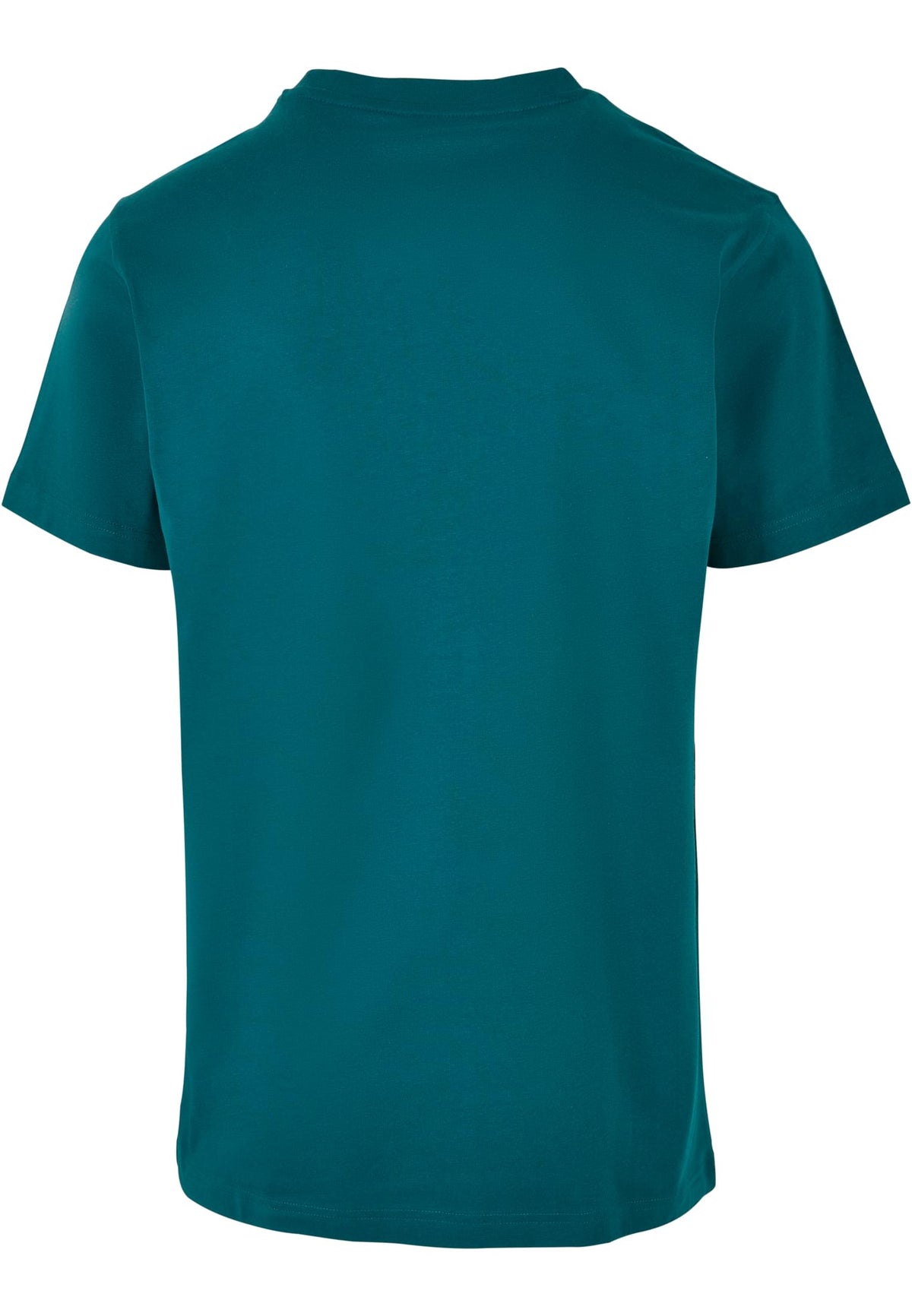 PAYFS Retro Green – Rückseite