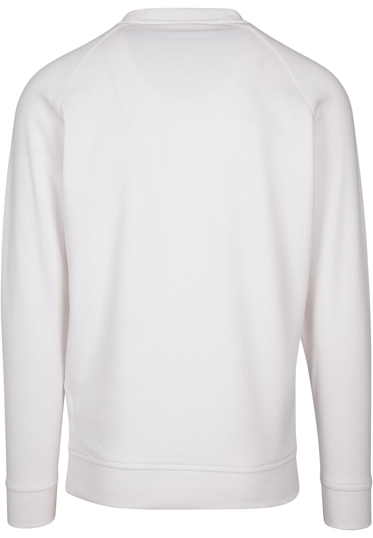 PAYFS White – Rückseite