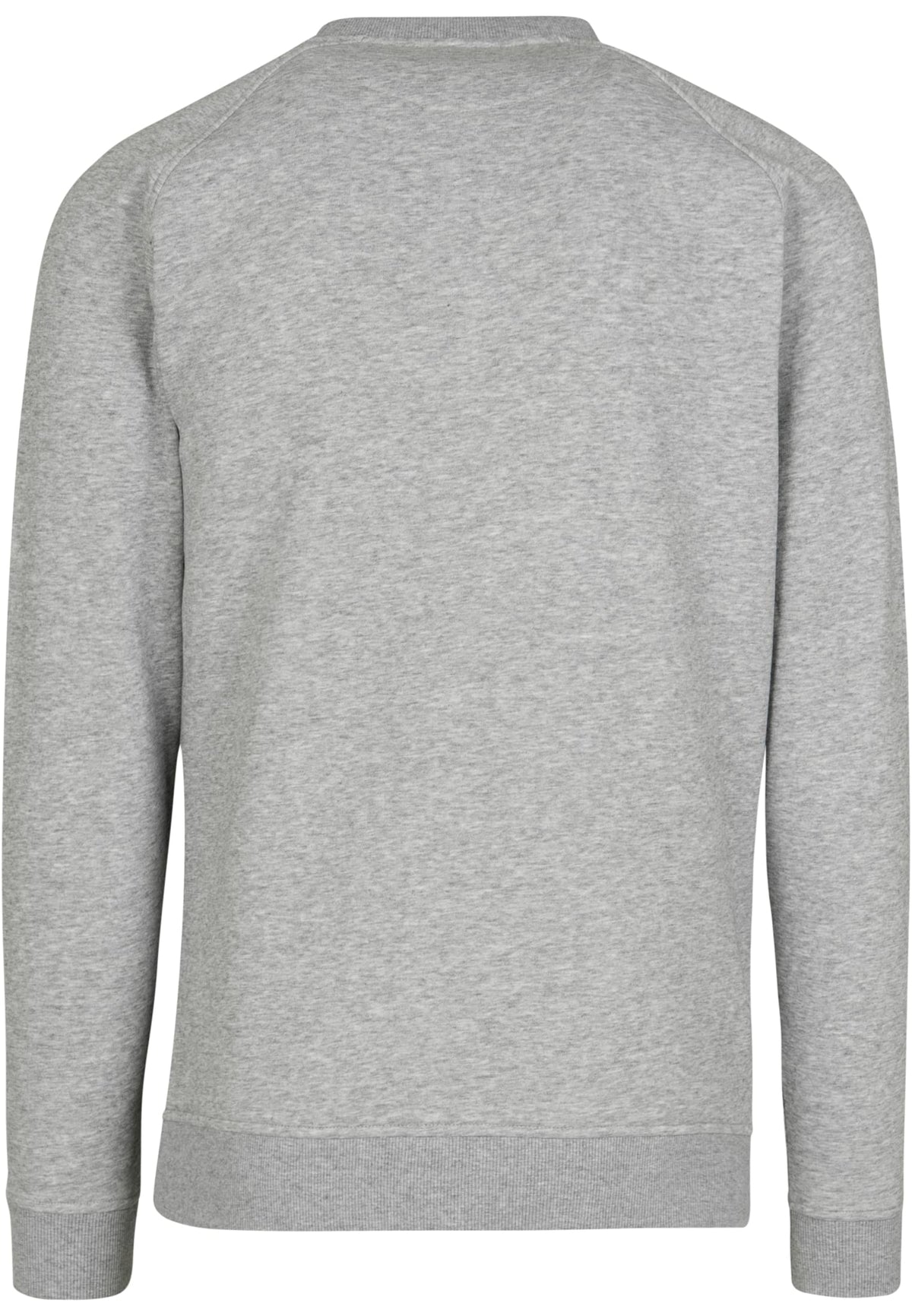 PAYFS Heather Grey – Rückseite