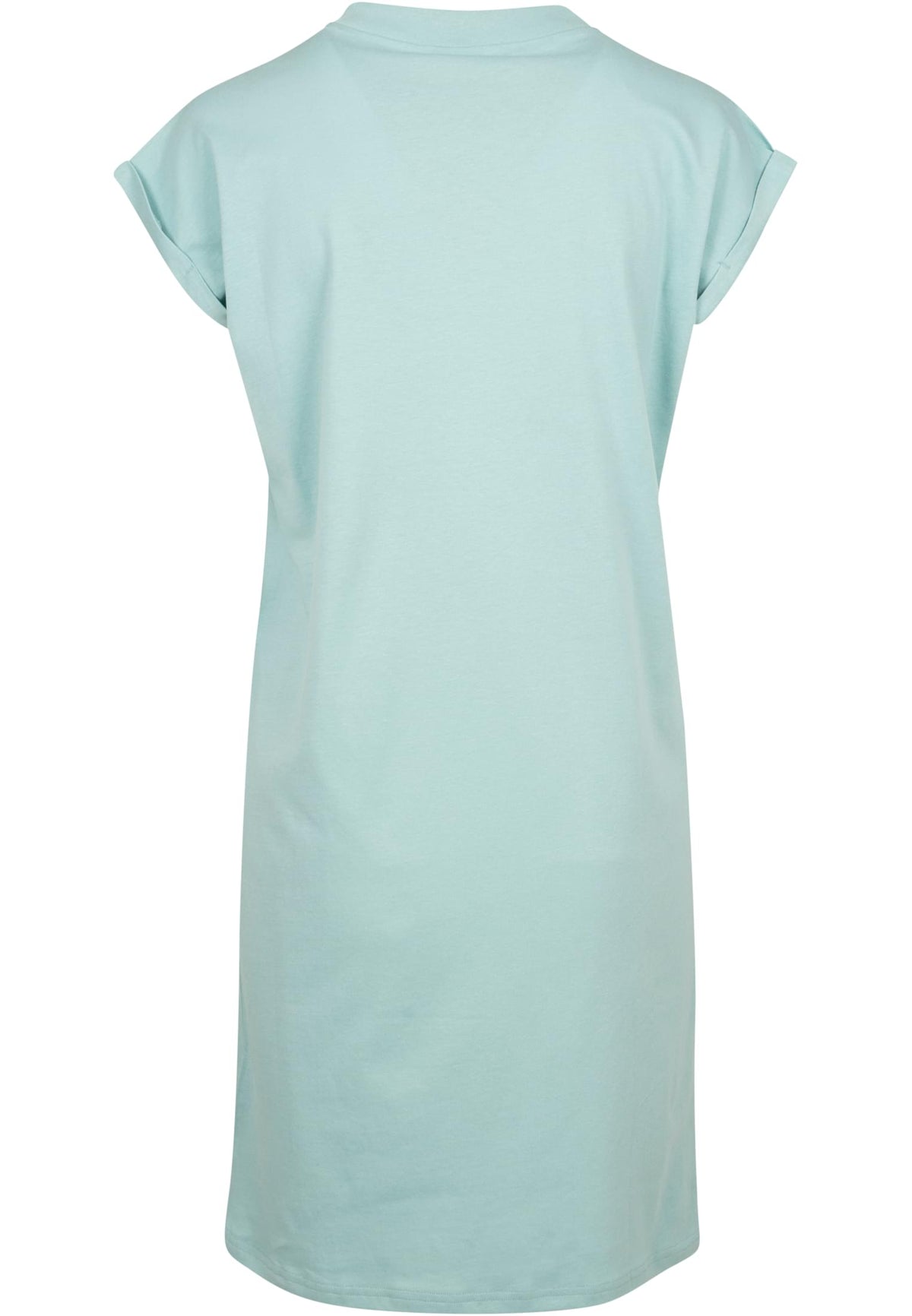 PAYFS Blue Mint – Rückseite