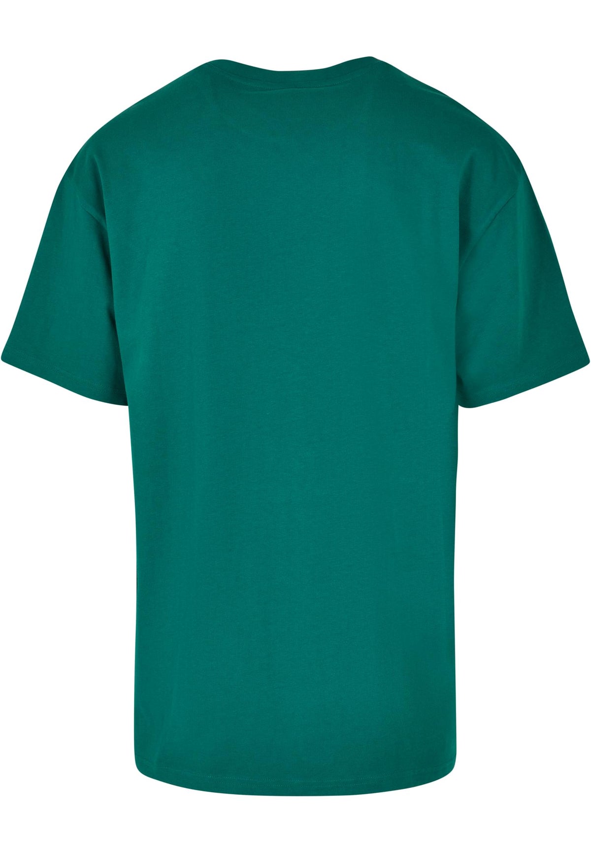 PAYFS Green – Rückseite