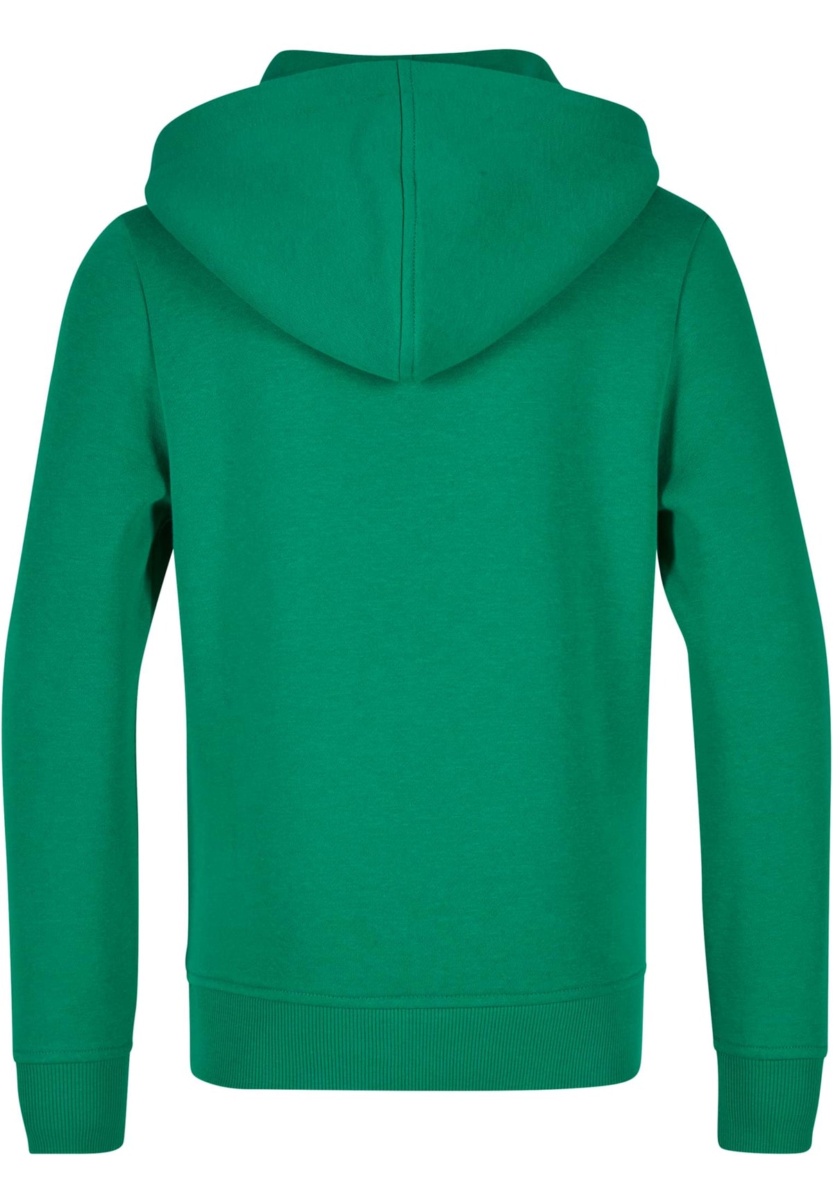 PAYFS C. Green – Rückseite
