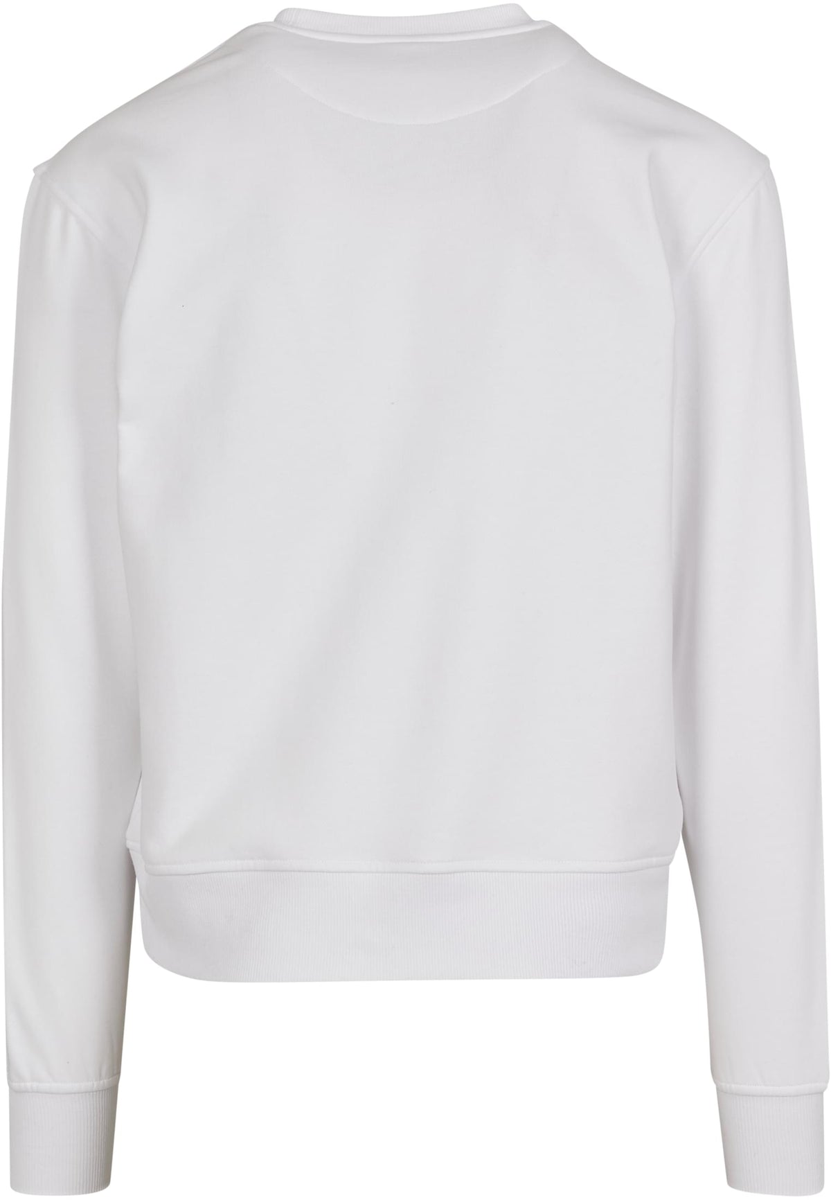 PAYFS White – Rückseite