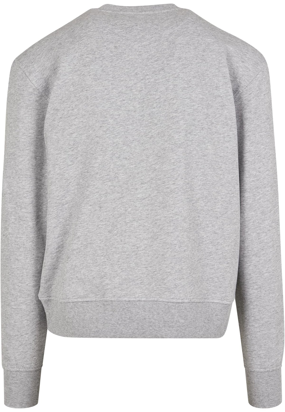 PAYFS Heather Grey – Rückseite