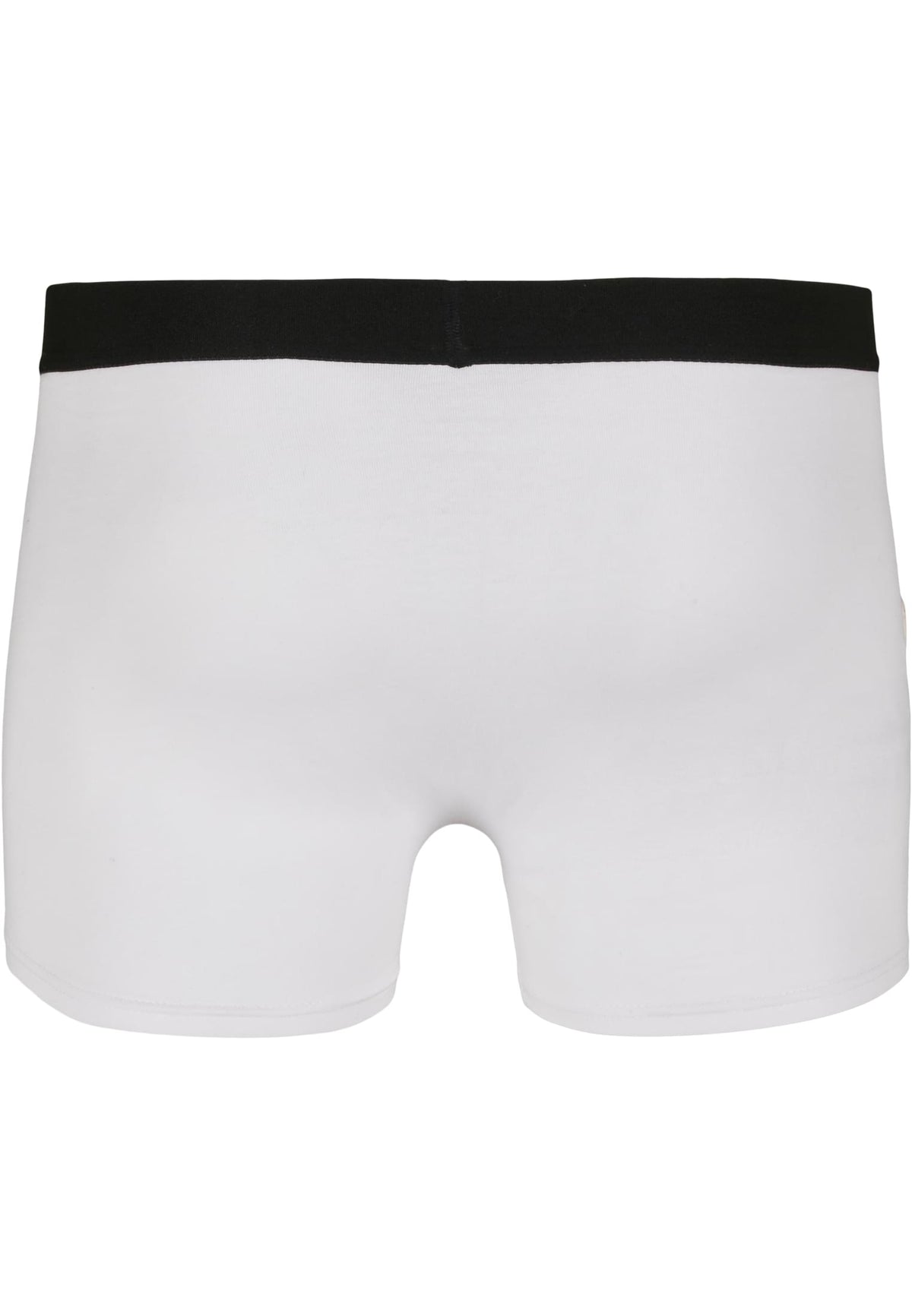 PAYFS White – Rückseite