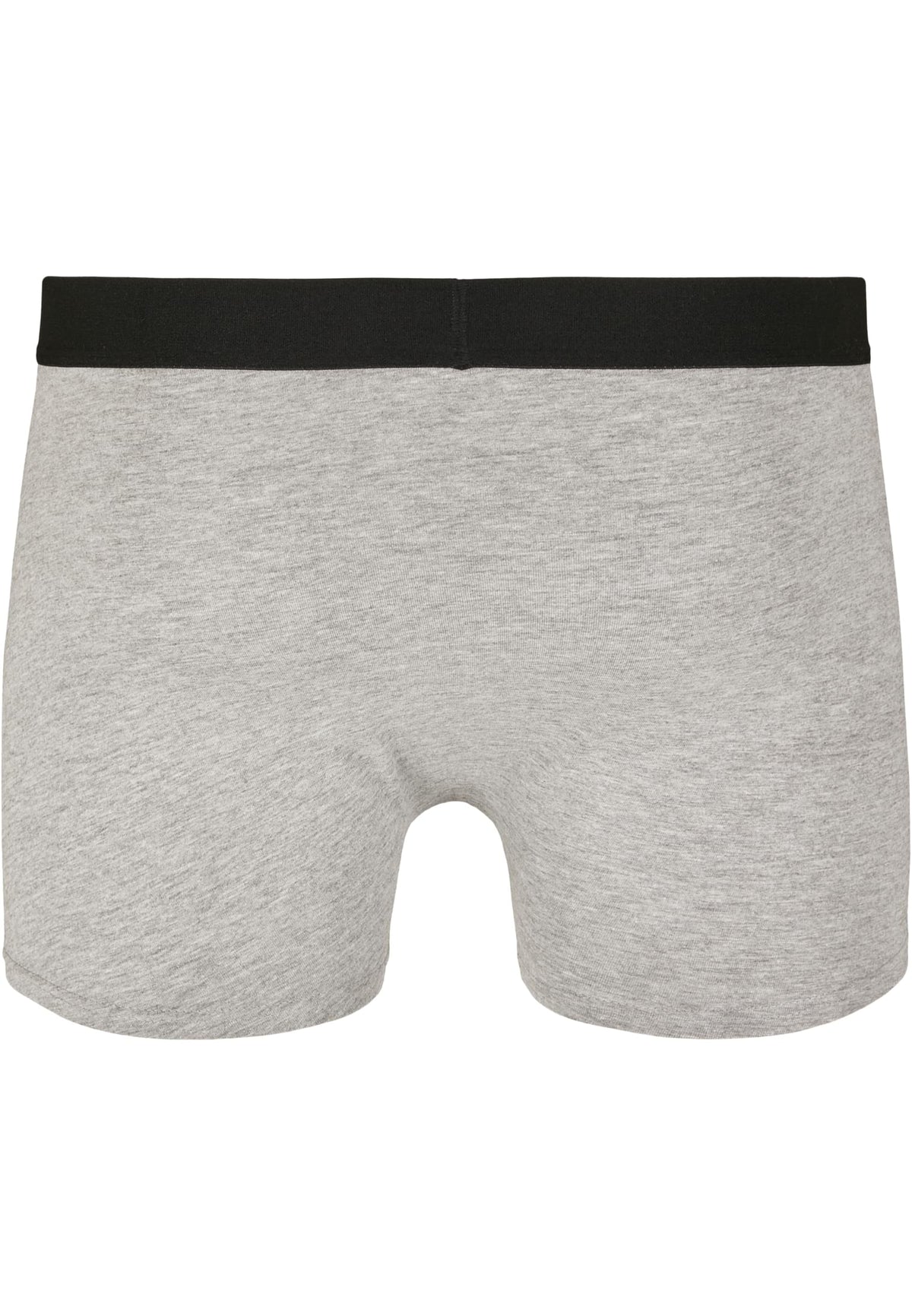 PAYFS Heather Grey – Rückseite