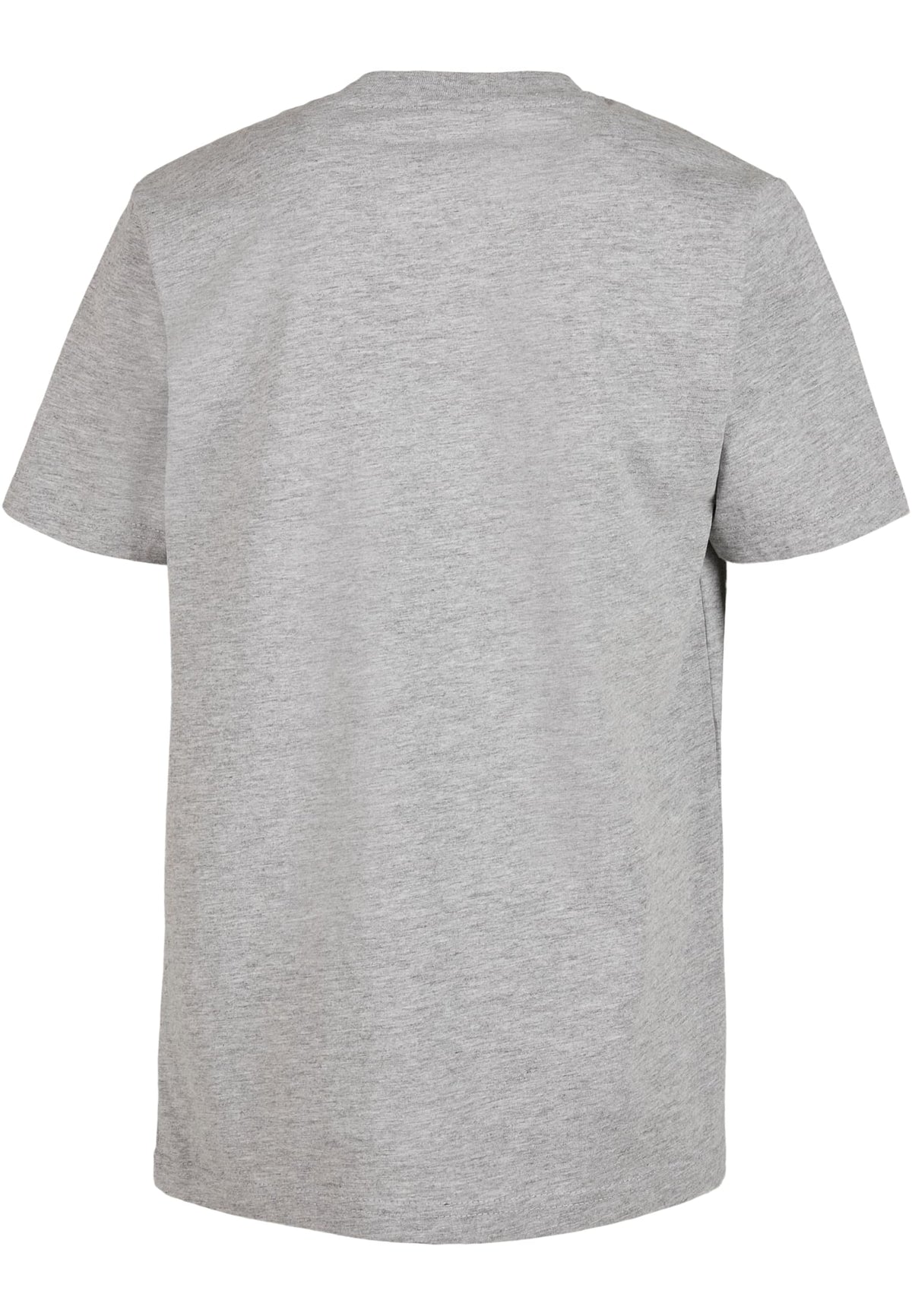 PAYFS Heather Grey – Rückseite