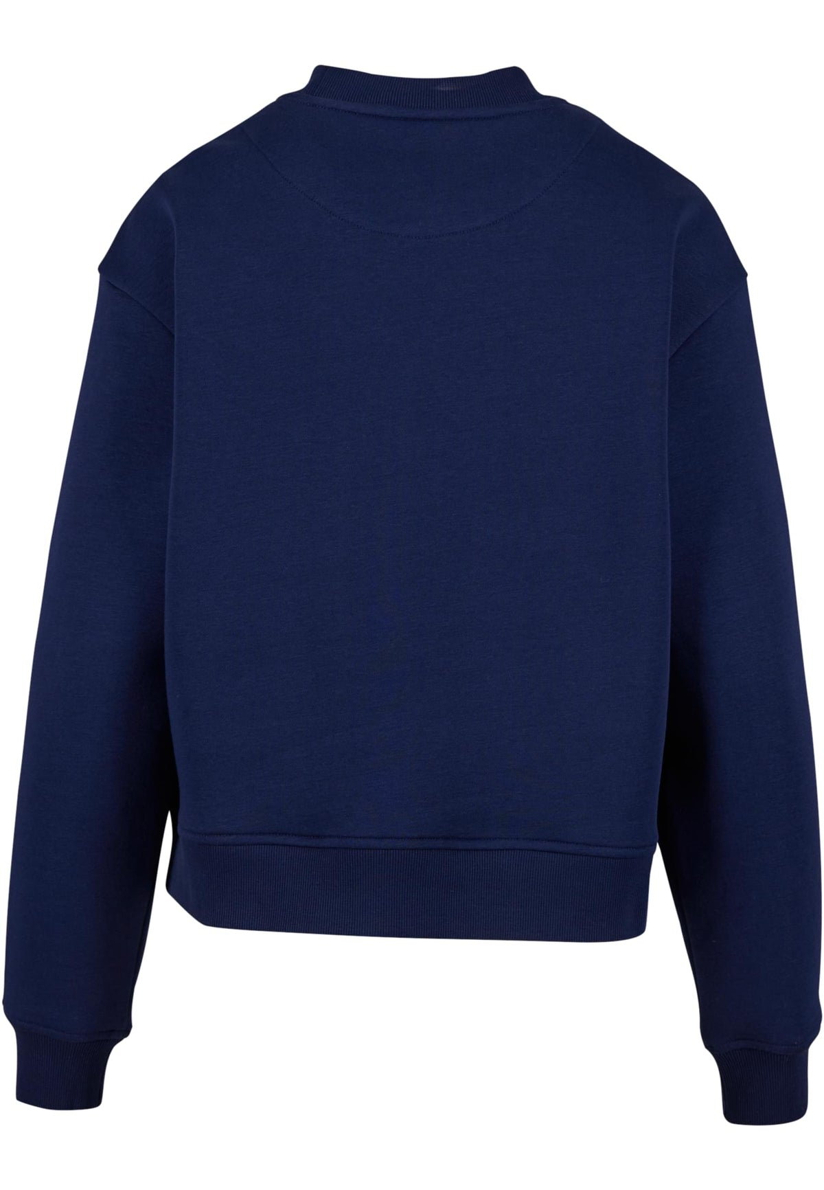 PAYFS Light Navy – Rückseite
